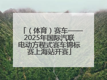 （体育）赛车——2025年国际汽联电动方程式赛车锦标赛上海站开赛