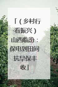 （乡村行·看振兴）山西临汾：保电到田间 抗旱保丰收