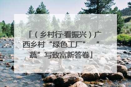 （乡村行·看振兴）广西乡村“绿色工厂” “蔬”写致富新答卷