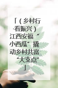 （乡村行·看振兴）江西安福“小西瓜”撬动乡村共富“大支点”