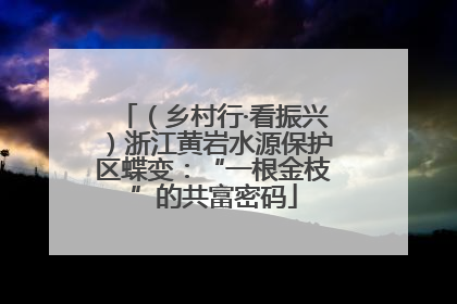 （乡村行·看振兴）浙江黄岩水源保护区蝶变：“一根金枝”的共富密码