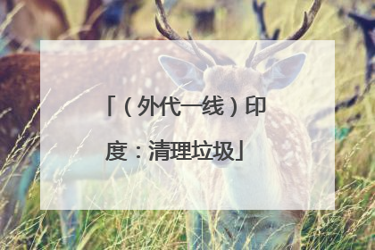 （外代一线）印度：清理垃圾