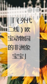 （外代二线）欧宝动物园的非洲象宝宝