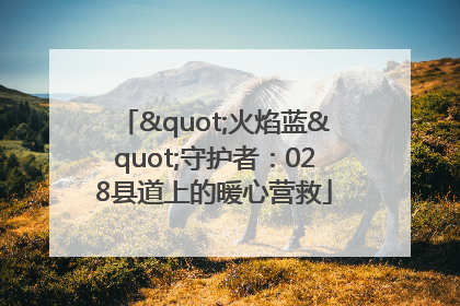 "火焰蓝"守护者：028县道上的暖心营救
