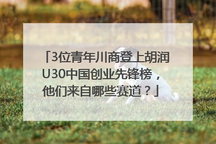 3位青年川商登上胡润U30中国创业先锋榜，他们来自哪些赛道？