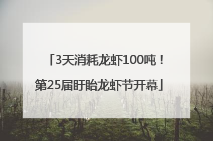 3天消耗龙虾100吨！第25届盱眙龙虾节开幕