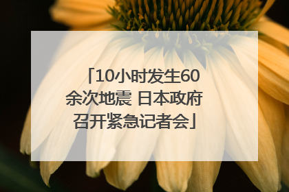 10小时发生60余次地震 日本政府召开紧急记者会
