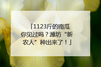 1123斤的南瓜你见过吗？潍坊“新农人”种出来了！