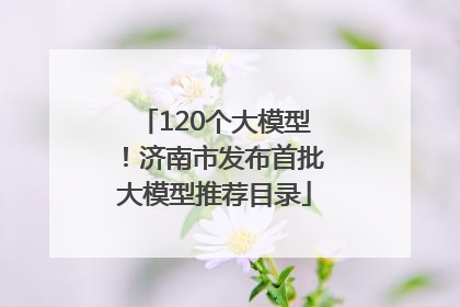 120个大模型！济南市发布首批大模型推荐目录