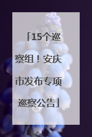 15个巡察组！安庆市发布专项巡察公告