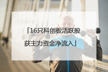 16只科创板活跃股获主力资金净流入