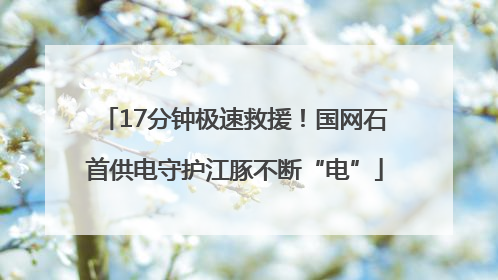 17分钟极速救援！国网石首供电守护江豚不断“电”