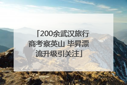 200余武汉旅行商考察英山 毕昇漂流升级引关注