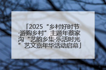 2025“乡村好时节·游购乡村”主题年蔡家沟“艺韵乡集·乐活时光”艺文嘉年华活动启幕