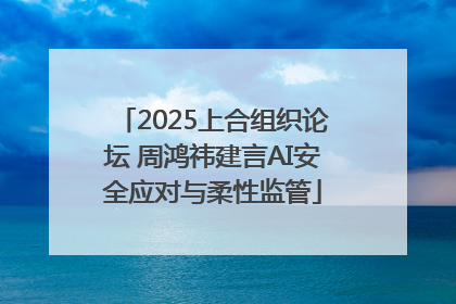 2025上合组织论坛 周鸿祎建言AI安全应对与柔性监管