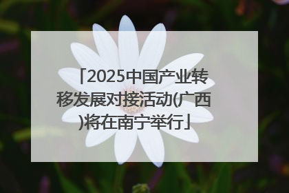 2025中国产业转移发展对接活动(广西)将在南宁举行