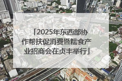 2025年东西部协作帮扶促消费暨糯食产业招商会在贞丰举行