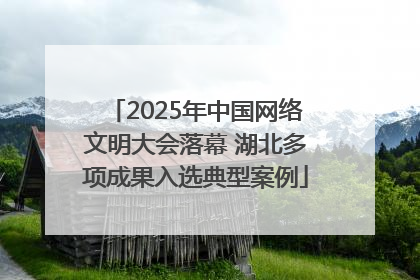 2025年中国网络文明大会落幕 湖北多项成果入选典型案例
