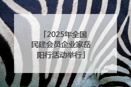 2025年全国民建会员企业家岳阳行活动举行