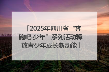 2025年四川省“奔跑吧·少年”系列活动释放青少年成长新动能