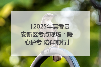 2025年高考贵安新区考点现场：暖心护考 陪伴前行