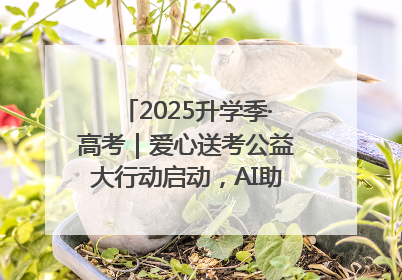 2025升学季·高考｜爱心送考公益大行动启动，AI助力考生赴考