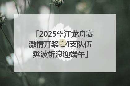 2025望江龙舟赛激情开桨 14支队伍劈波斩浪迎端午
