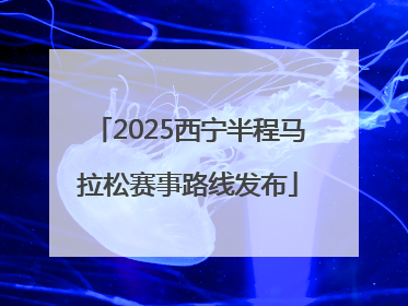 2025西宁半程马拉松赛事路线发布