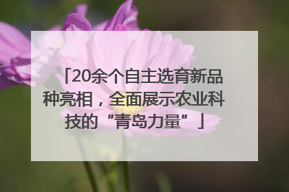 20余个自主选育新品种亮相，全面展示农业科技的“青岛力量”