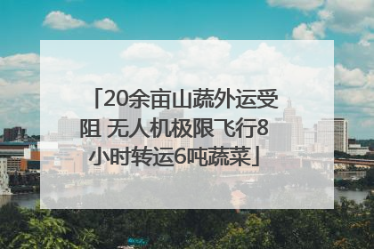 20余亩山蔬外运受阻 无人机极限飞行8小时转运6吨蔬菜