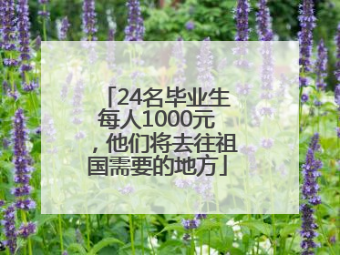 24名毕业生每人1000元，他们将去往祖国需要的地方