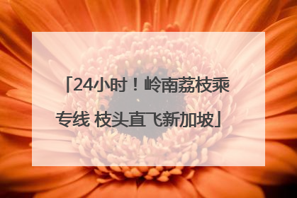 24小时！岭南荔枝乘专线 枝头直飞新加坡