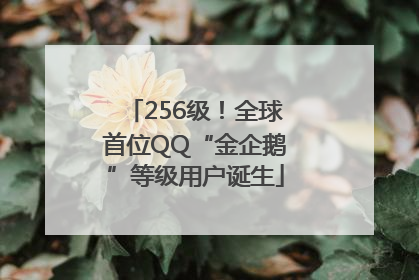 256级！全球首位QQ“金企鹅”等级用户诞生