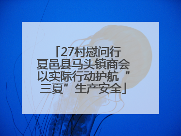 27村慰问行 夏邑县马头镇商会以实际行动护航“三夏”生产安全