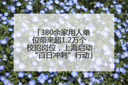 380余家用人单位带来超1.2万个校招岗位，上海启动“百日冲刺”行动