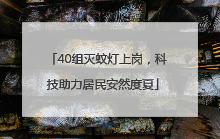 40组灭蚊灯上岗，科技助力居民安然度夏