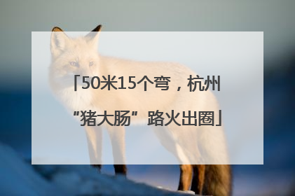 50米15个弯，杭州“猪大肠”路火出圈