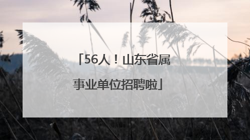56人！山东省属事业单位招聘啦