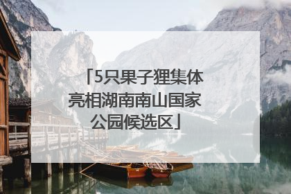 5只果子狸集体亮相湖南南山国家公园候选区