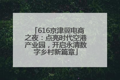 616京津冀电商之夜：点亮时代空港产业园，开启永清数字乡村新篇章