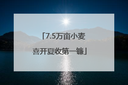 7.5万亩小麦喜开夏收第一镰