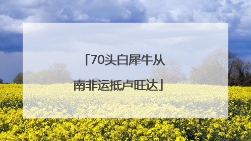 70头白犀牛从南非运抵卢旺达