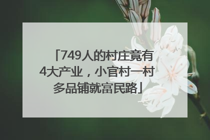 749人的村庄竟有4大产业，小官村一村多品铺就富民路