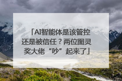 AI智能体是该管控还是被信任？两位图灵奖大佬“吵”起来了