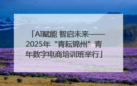 AI赋能 智启未来——2025年“青耘锦州”青年数字电商培训班举行
