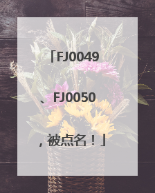 FJ0049、FJ0050，被点名！