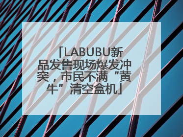 LABUBU新品发售现场爆发冲突，市民不满“黄牛”清空盒机