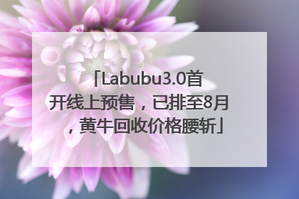 Labubu3.0首开线上预售，已排至8月，黄牛回收价格腰斩