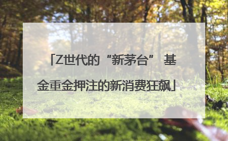 Z世代的“新茅台” 基金重金押注的新消费狂飙